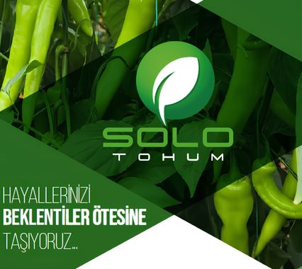Solo Tohum