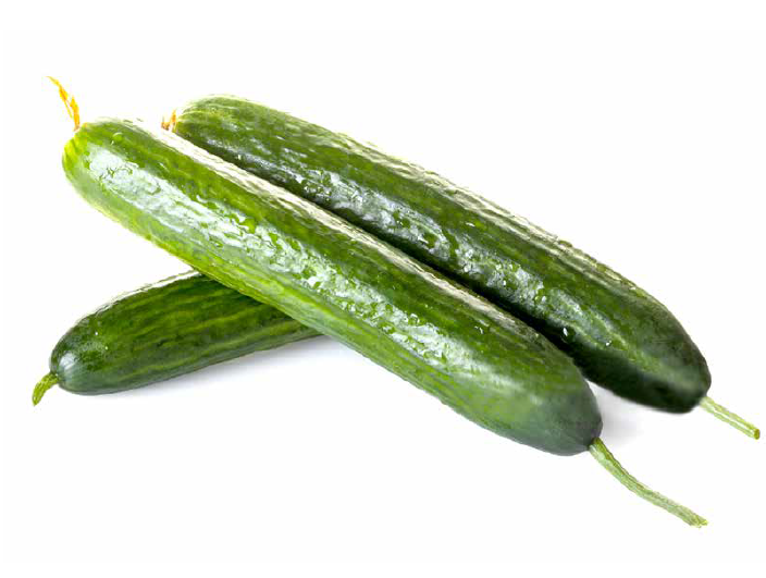ÇİLİNGİR F1